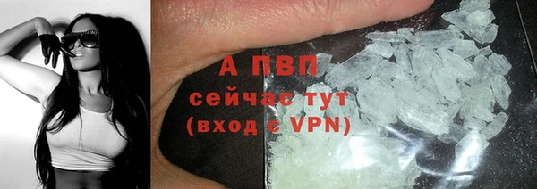 винт Алзамай