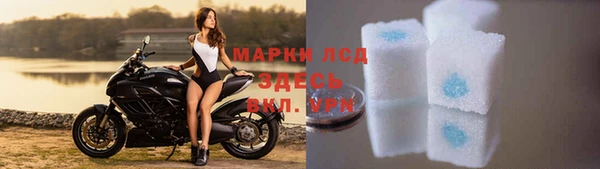стафф Алексин