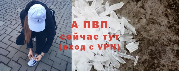 винт Алзамай