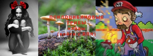 винт Алзамай
