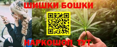 шишки Аргун