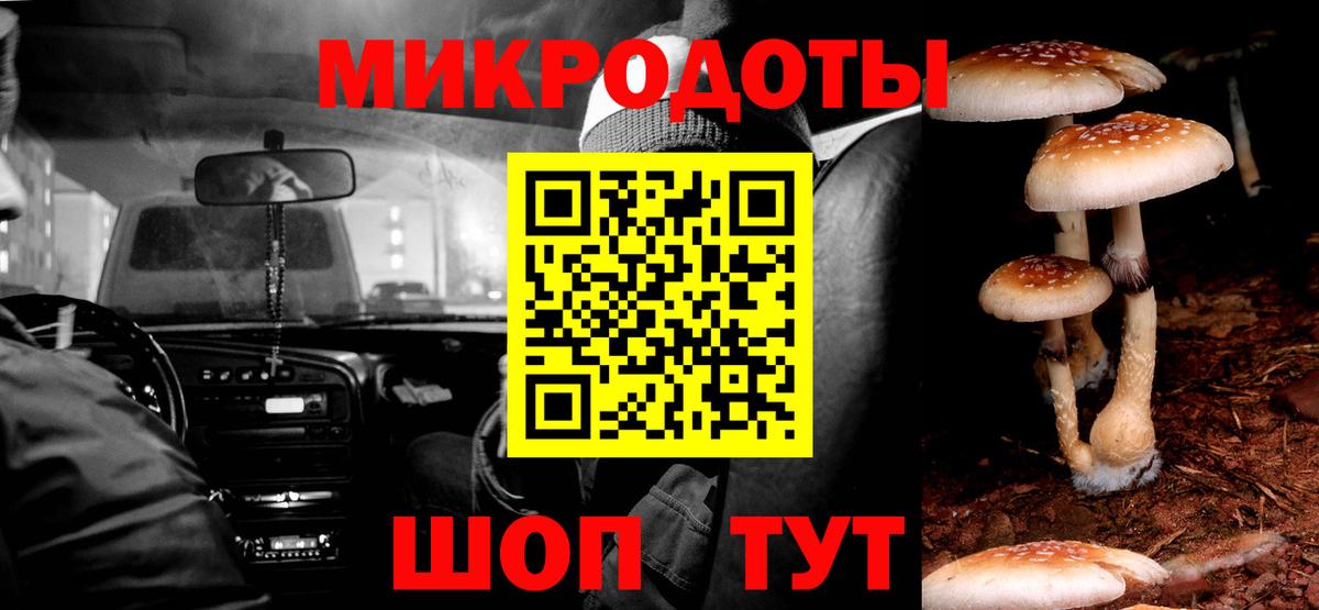 что такое наркотик  Псилоцибиновые грибы Psilocybe  Вход с VPN  Губкин  Галлюциногенные грибы Psilocybe 